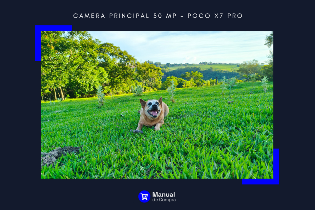 Poco X6 Pro e Poco X7 Pro: O que mudou? Comparativo de 2025 6 Foto tirada da Câmera principal de 50 Mp do Poco X7 Pro